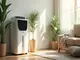 luftentfeuchter-und-kuehler-die-perfekte-kombination-fuer-ihr-raumklima